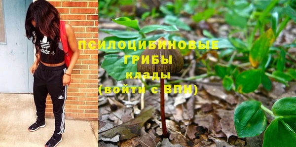 ALPHA PVP Верея