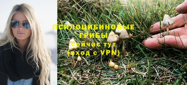 ALPHA PVP Верея
