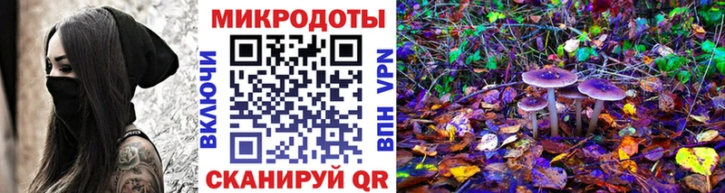 Псилоцибиновые грибы Cubensis Нижнекамск