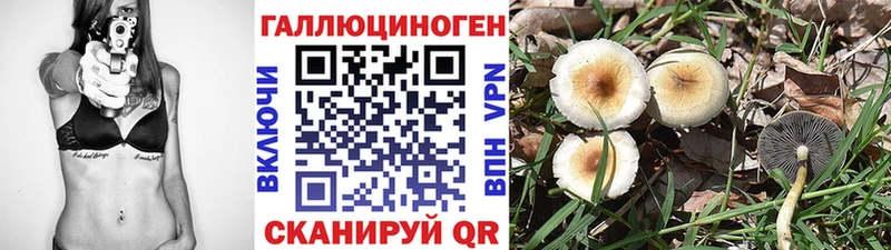 Псилоцибиновые грибы Cubensis  Нижнекамск 